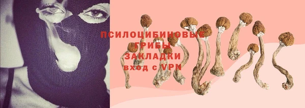 apvp Козельск