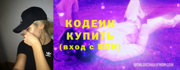 apvp Козельск