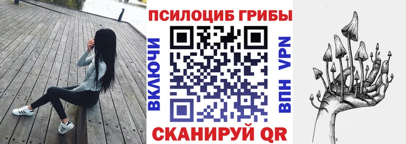 Купить где  Елабуга  Галлюциногенные грибы прущие грибы 